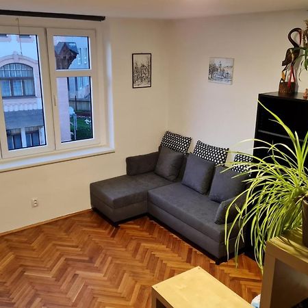 Kousek Do Přírody I Do Centra Apartamento Písek Exterior foto