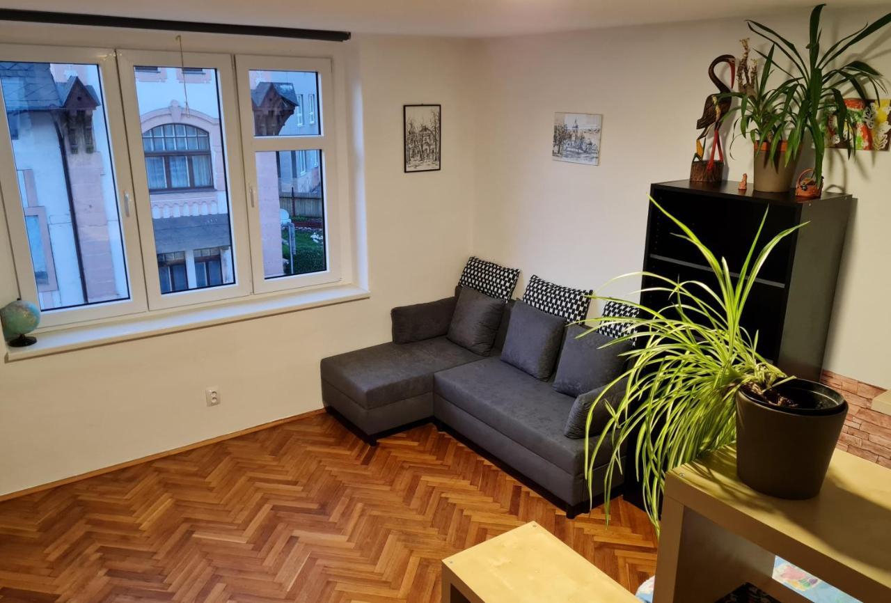 Kousek Do Přírody I Do Centra Apartamento Písek Exterior foto