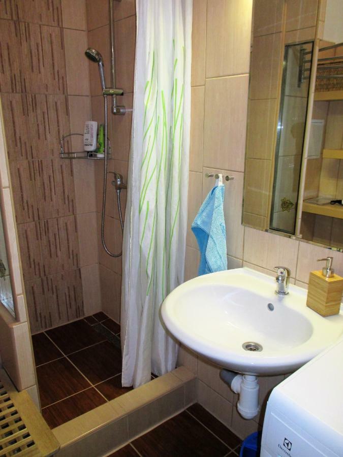 Kousek Do Přírody I Do Centra Apartamento Písek Exterior foto