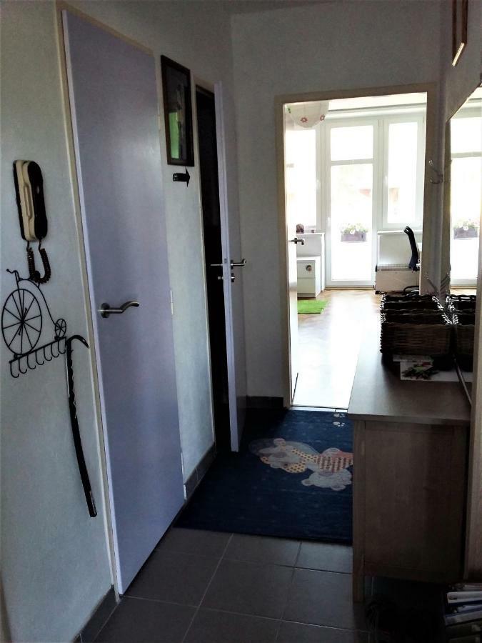 Kousek Do Přírody I Do Centra Apartamento Písek Exterior foto